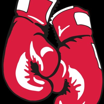 AR BOXING 17 RC Thumbnail