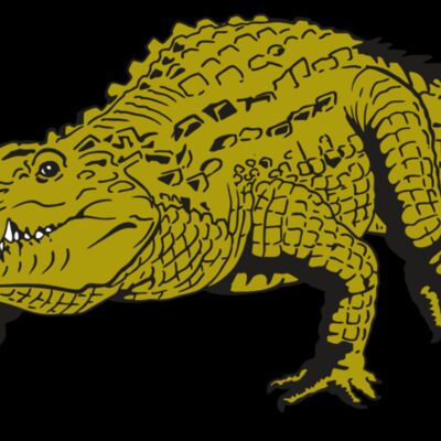 AR GATOR 13 RQC Thumbnail