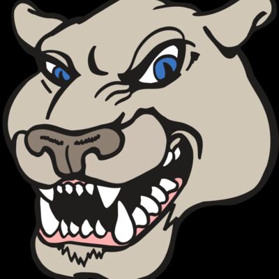 AR5 COUGAR 10 RQC Thumbnail