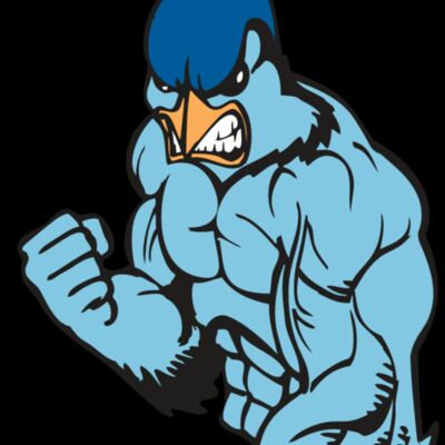 BAW BLUEJAY 13 RC Thumbnail