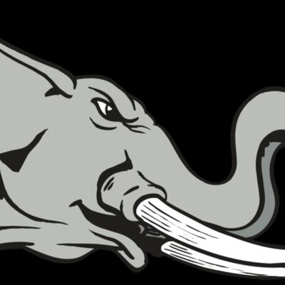 AR ELEPH 16 RC Thumbnail