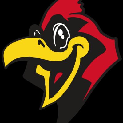 AR CARDINAL 36 RC Thumbnail