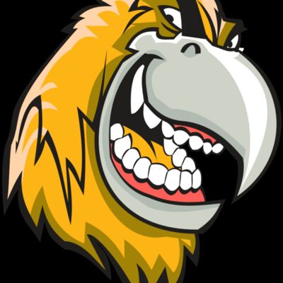 HAWK HD0504 RQC Thumbnail