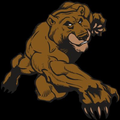 AR BEAR 29 RC Thumbnail