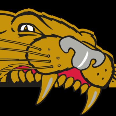 AR COUGAR 73 RC Thumbnail