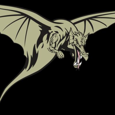 BAW DRAGON 12 RC Thumbnail