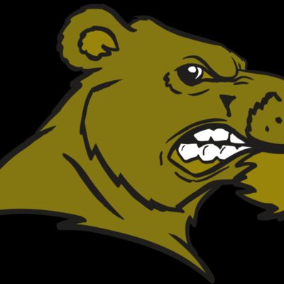 AR BEAR 11 RC Thumbnail