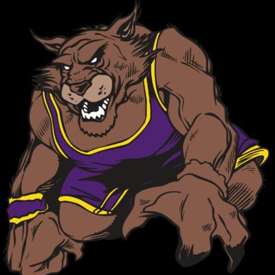 AR WILDCAT 23 RC Thumbnail