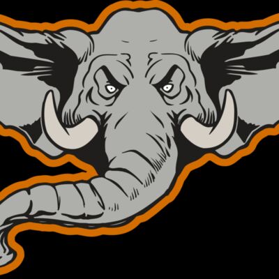 AR ELEPH 11 RC Thumbnail