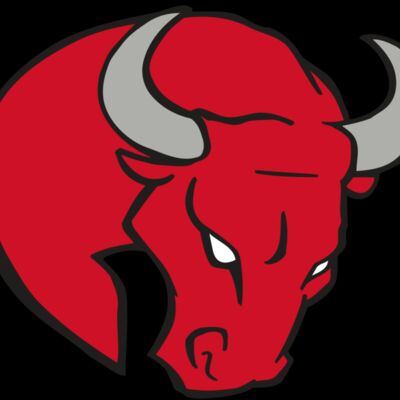 AR BULL 24 RC Thumbnail