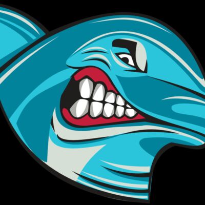 DOLPHIN HD0504 RQC Thumbnail