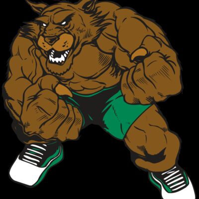 AR WILDCAT 45 RC Thumbnail