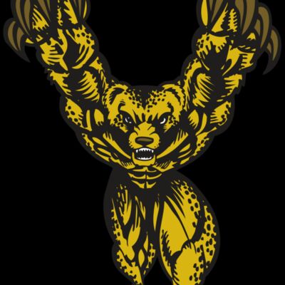 BAW CHEETAH 09 RC Thumbnail