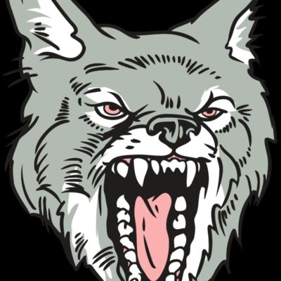 AR32 COYOTE 11 RQC Thumbnail