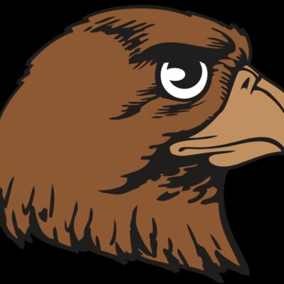 BAW HWK FLCN 05 RC Thumbnail