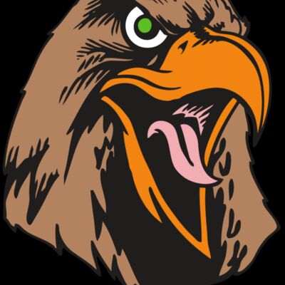 BAW HWK FLCN 01 RC Thumbnail