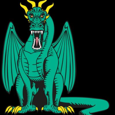 BAW DRAGON 10 RC Thumbnail