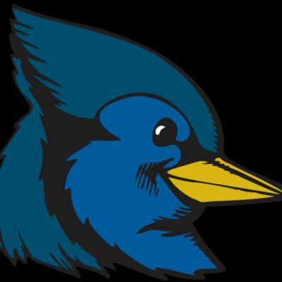 BAW BLUEJAY 07 RC Thumbnail