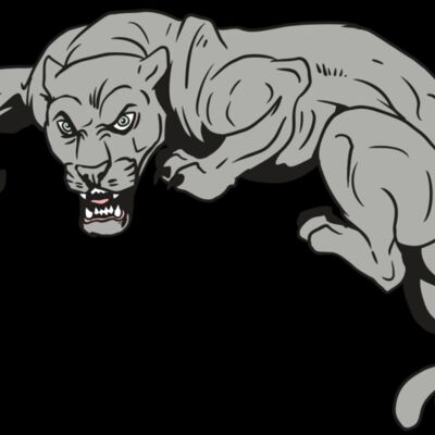 AR10 PANTHER 02 RQC Thumbnail