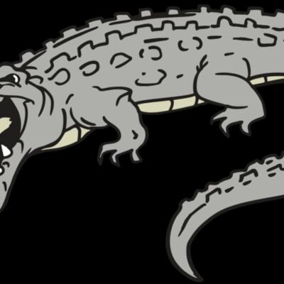 AR GATOR 53 RQC Thumbnail