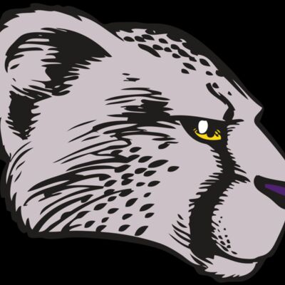 BAW CHEETAH 20 RC Thumbnail