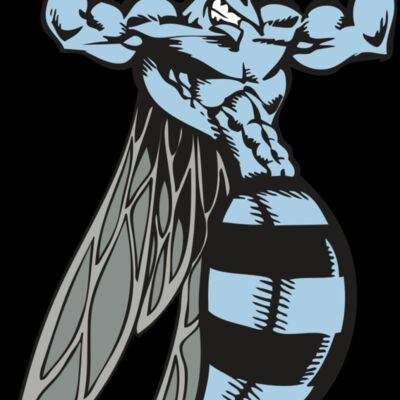 BAW BEE 08 RC Thumbnail