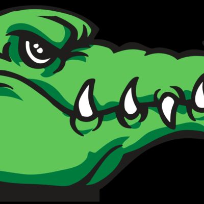 AR GATOR 15 RQC Thumbnail