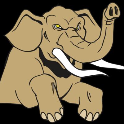 AR ELEPH 19 RC Thumbnail