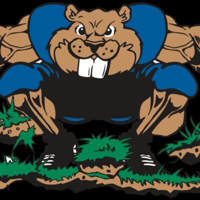 AR14 BEAVER FBLL 04 RQC Thumbnail