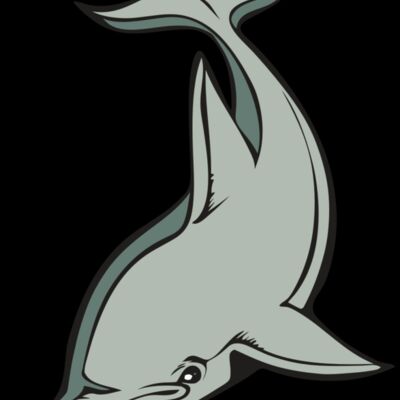 BAW DOLPHIN 01 RC Thumbnail