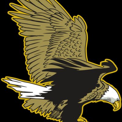 AR10 EAGLE 01 RQC Thumbnail