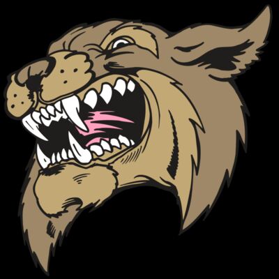 AR5 BOBCAT 09 RQC Thumbnail