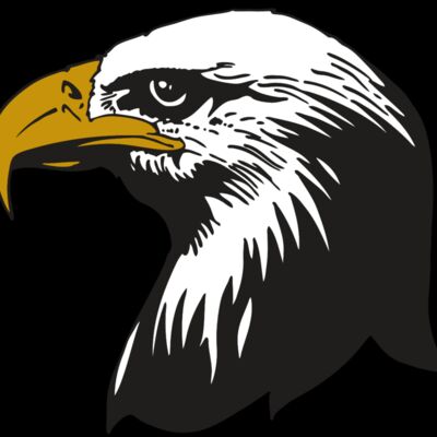 AR EAGLE 87 RC Thumbnail