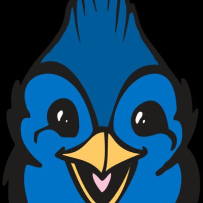 BAW BLUEJAY 19 RC Thumbnail