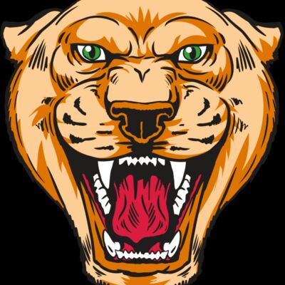 AR13 COUGAR 01 RQC Thumbnail