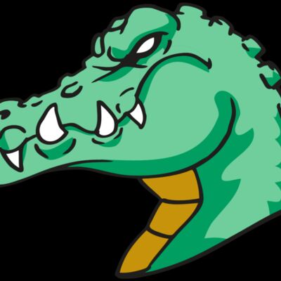 AR GATOR 31 RQC Thumbnail