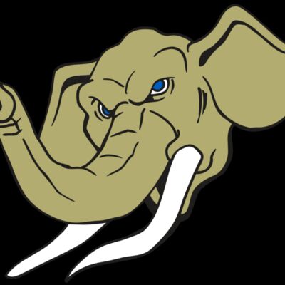 AR ELEPH 17 RC Thumbnail