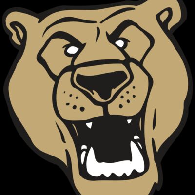 AR BEAR 13 RC Thumbnail