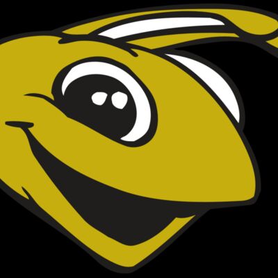 AR BEE 31 RC Thumbnail