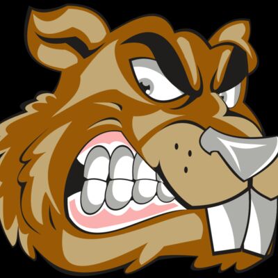 BEAVER HD0503 RQC Thumbnail