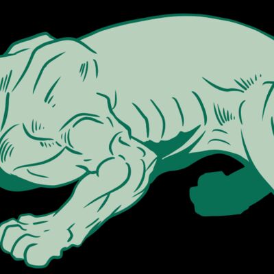 AR10 PANTHER 05 RQC Thumbnail