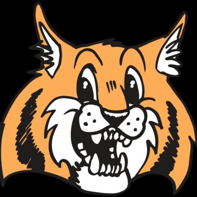 AR WILDCAT 13 RC Thumbnail