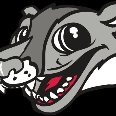 AR WOLVERINE 12 RC Thumbnail