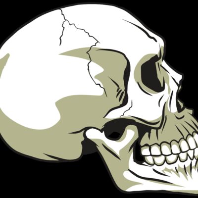 AR24 SKULL 12 RQC Thumbnail