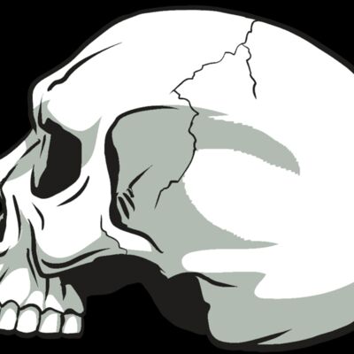 AR24 SKULL 11 RQC Thumbnail