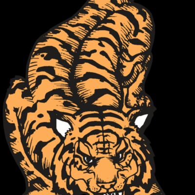 BAW TIGER 01 RC Thumbnail