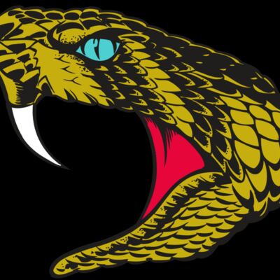 BAW SNAKE 16 RC Thumbnail