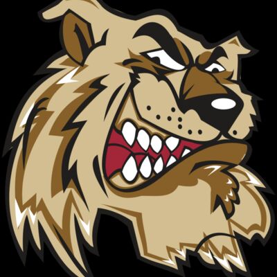 WILDCAT HD0502 RQC Thumbnail