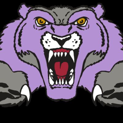 AR WOLVERINE 17 RC Thumbnail