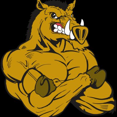 AR5 Razorback 17 RQC Thumbnail